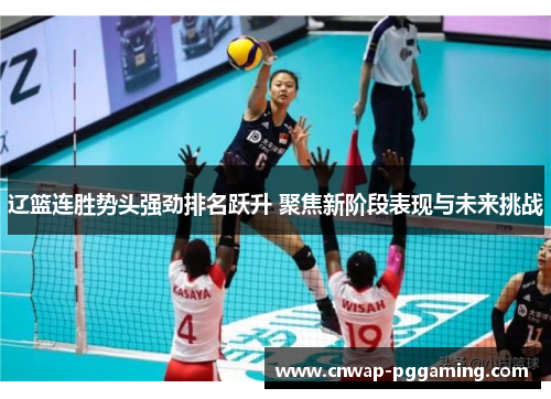 辽篮连胜势头强劲排名跃升 聚焦新阶段表现与未来挑战