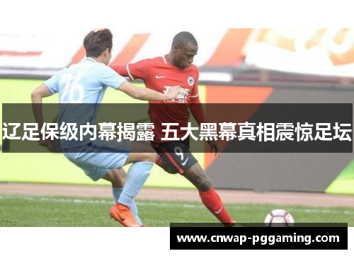 辽足保级内幕揭露 五大黑幕真相震惊足坛